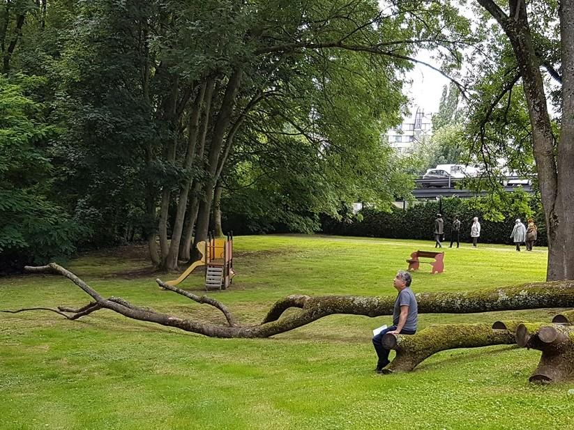 Parc temporaire Evenepoel 2
