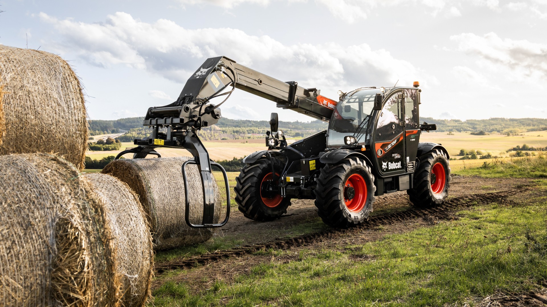 Bobcat-Black-Limited-Edition-6-