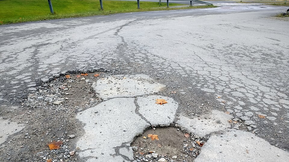 BC_nids_poule(creative commons Santeri Viinamäki)