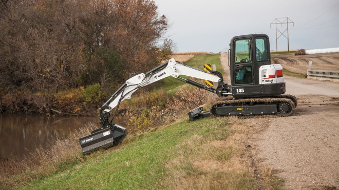 BC_Bobcat_été