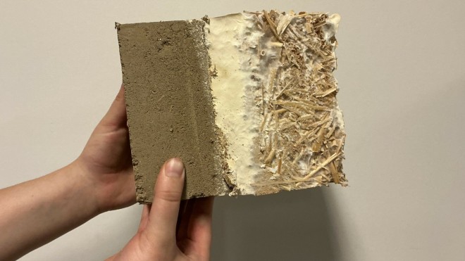 BC_mycélium(Elisa_Hofmann)