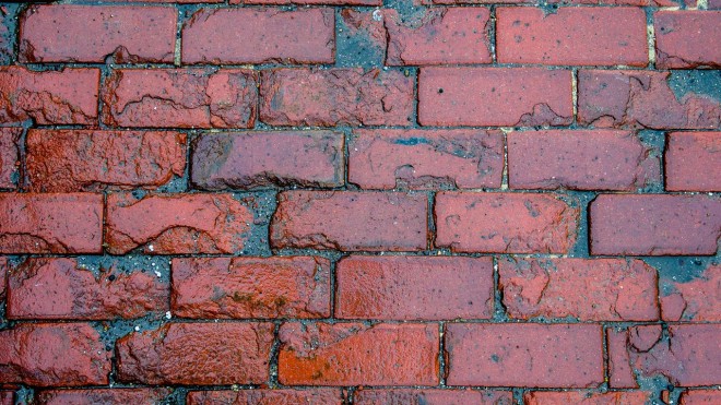 pexels-frank-cone-140140-3618480